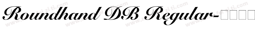 Roundhand DB Regular字体转换